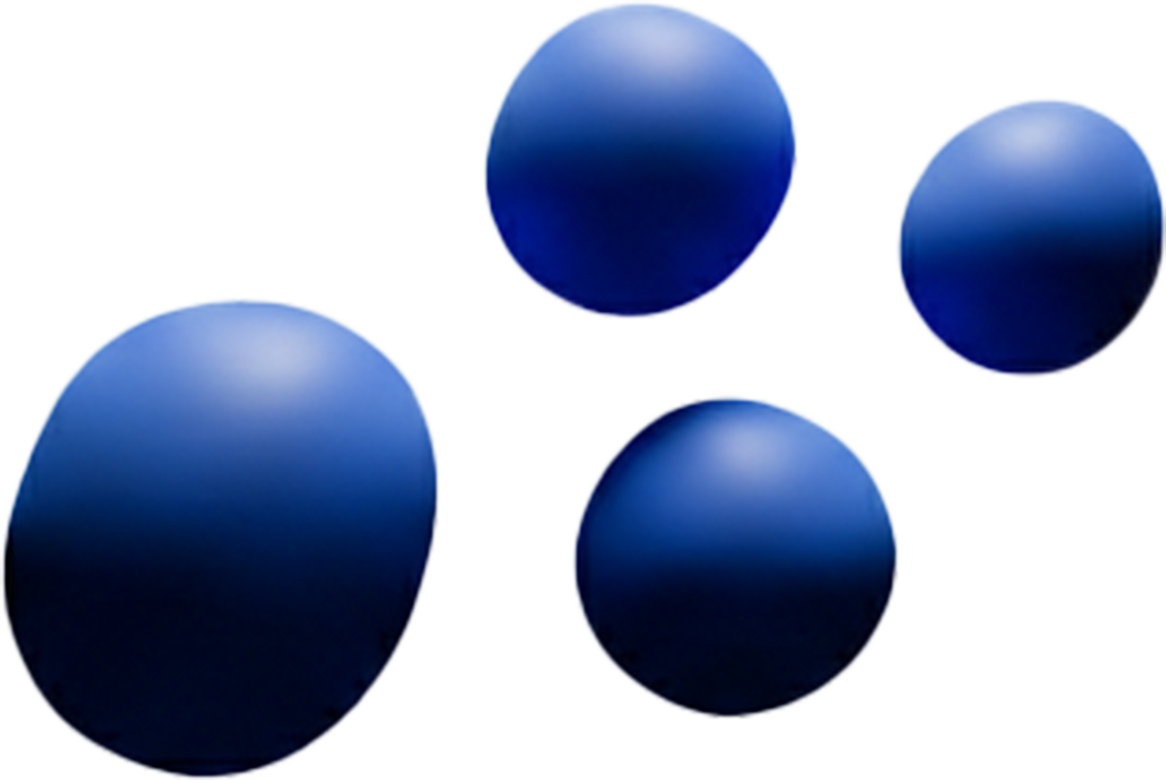 Mirtillo