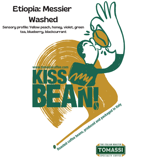 Caffè specialty Etiopia Messier Washed Sidama, varietà heirloom, in grani e macinato – Tomassi Coffee