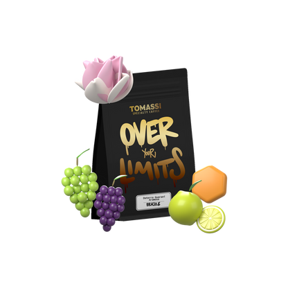 Caffè specialty Brasile Daterra Guarani Aramosa, naturale anaerobico (immagine 2) – Tomassi Coffee