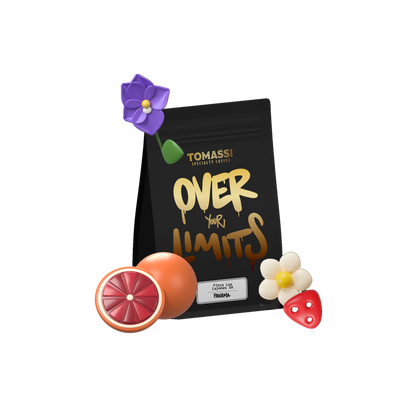 Caffè specialty Panama Finca Los Lajones 5A, Gesha naturale (immagine 2) – Tomassi Coffee