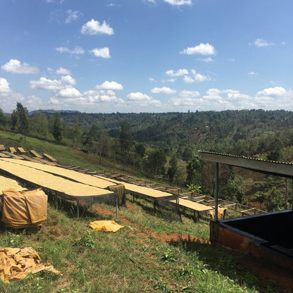 Letti africani di essiccazione sulle colline del Kenya